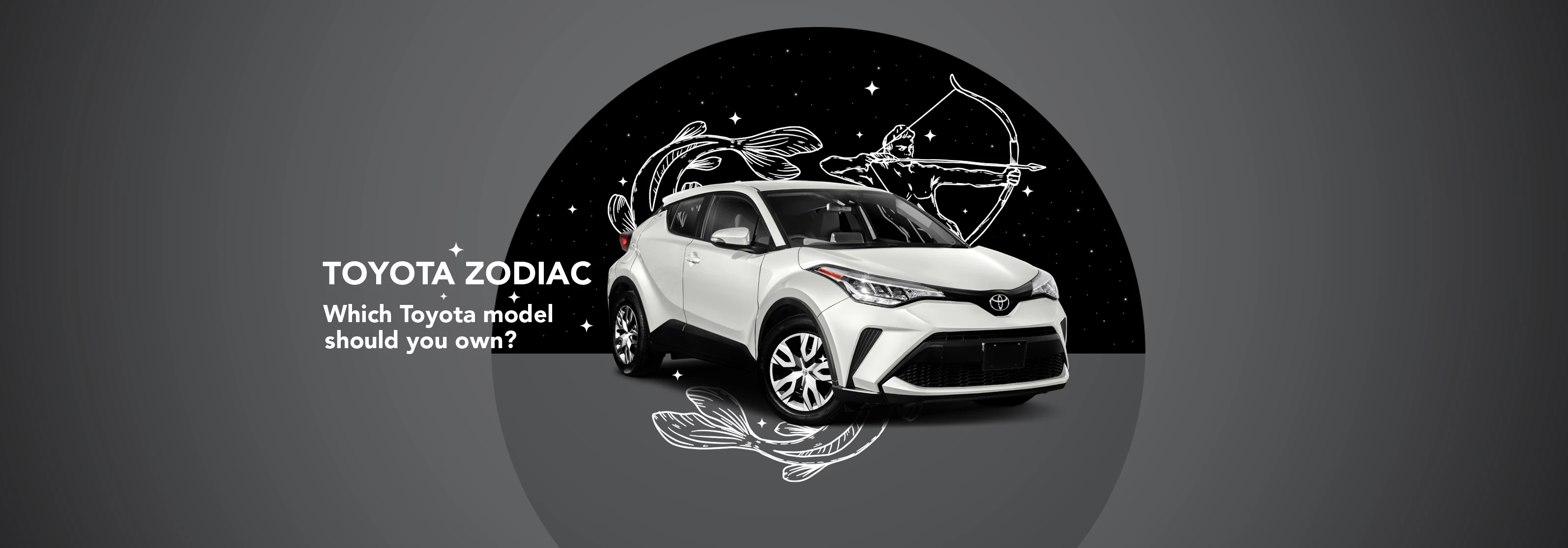 News Landing Image Toyota Zodiac: which Toyota model should you own?